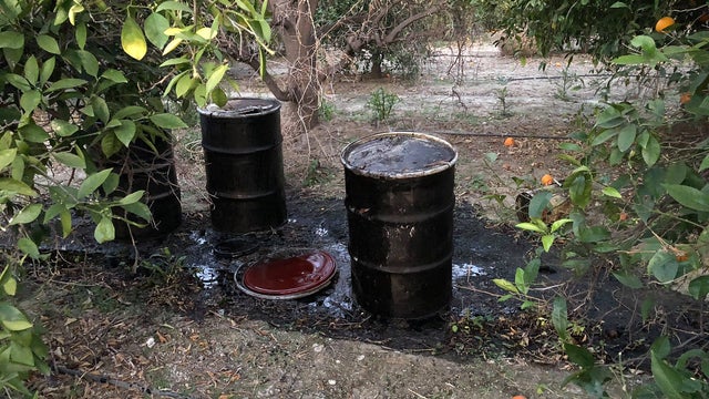 citrus-grove-oil-barrels.jpg 