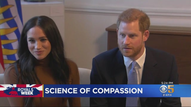 meghan-harry-CCARES.jpg 