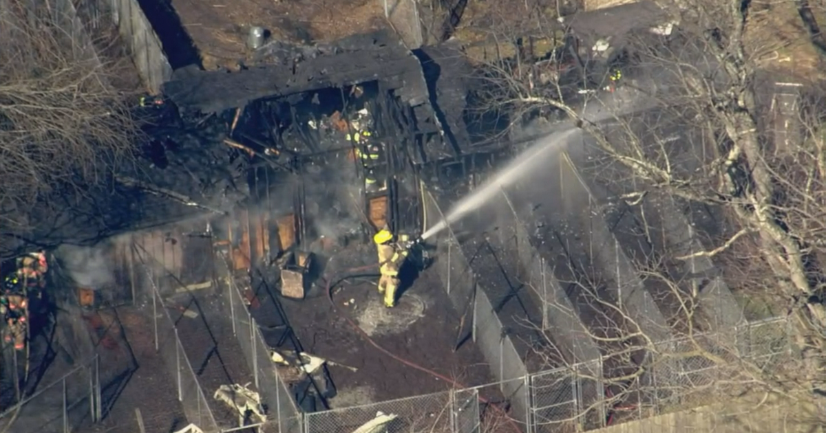 Fire Destroys Dog Kennel On Same Shamong Property Where Dozens Of Dead