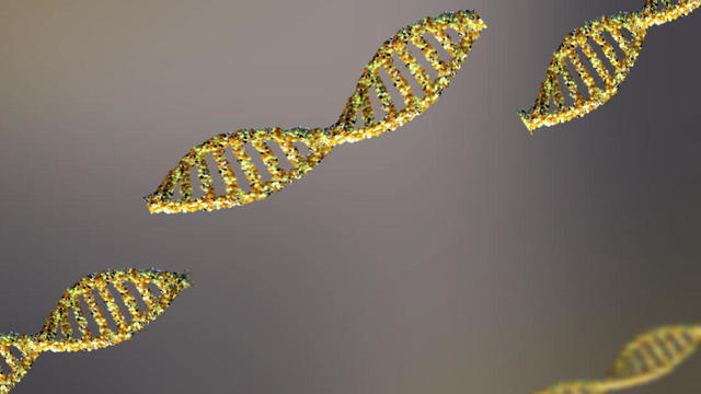 crisper-gene-editing-1280.jpg 