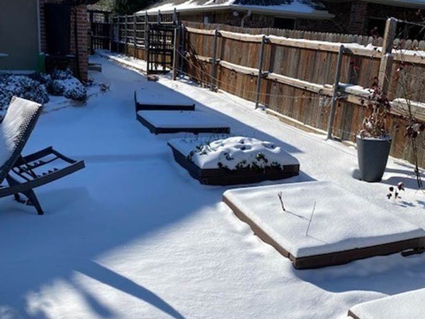 Jeff Ray Gardening 101 story 