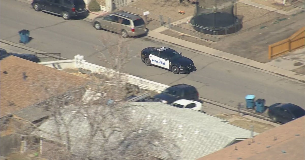 4 Victims Injured After Dog Attack In Commerce City - CBS Colorado