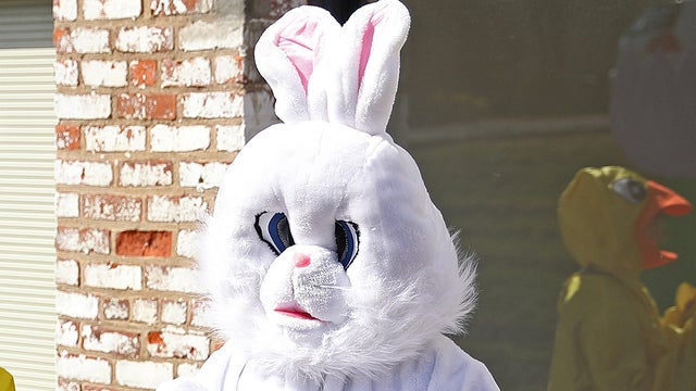 easterbunny.jpg 