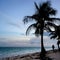 American tourist dies at Bahamas resort after testing positive for COVID, police say