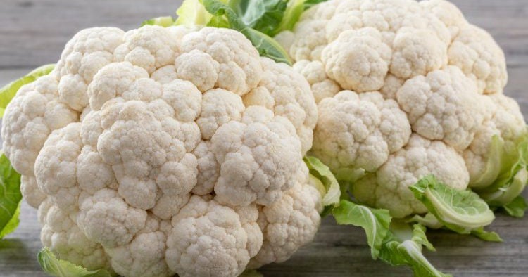 Gut Health Through Proper Nutrition - CBS Baltimore