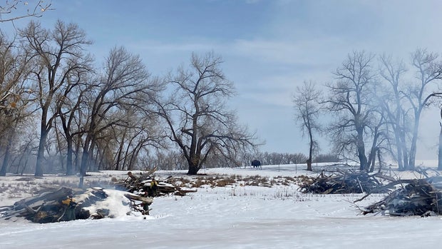 pile burning (rocky mtn arsenal twitter) 
