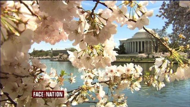 ftn-cherryblossoms-413-640x360.jpg 