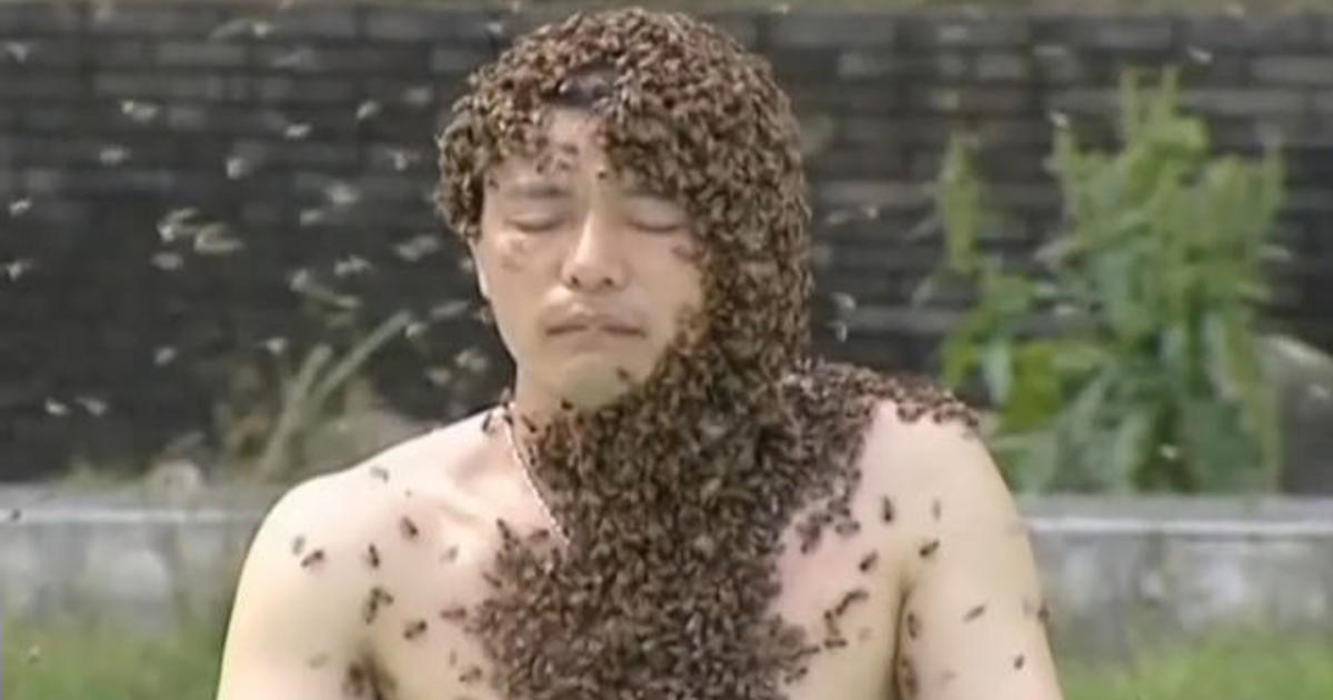 Covered In Bees World Record Cbs News