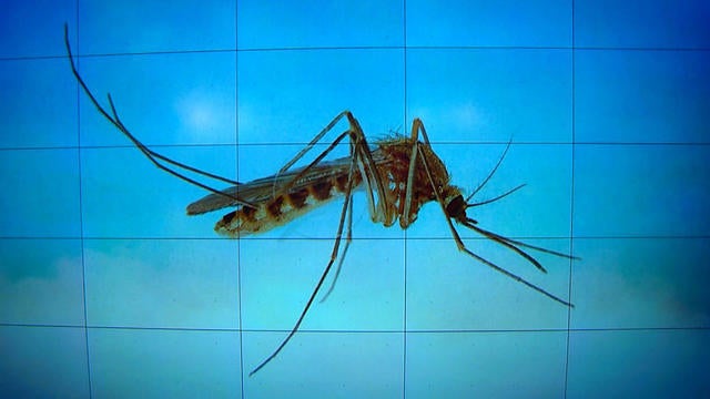 ctm-0523-virus-640x360.jpg 
