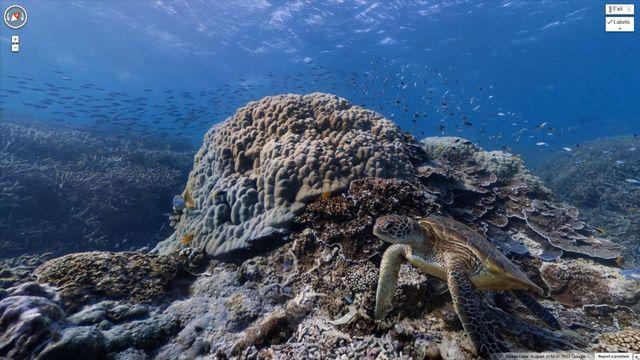 scitech-seaview-640x360.jpg 