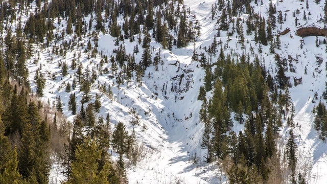 Beaver-Creek-avalanche-stock-image-from-caic.jpg 
