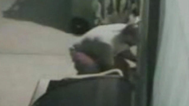 dogburglar-0729-258335-640x360.jpg 