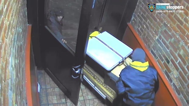 Bronx Jewelry Cart Robbery 