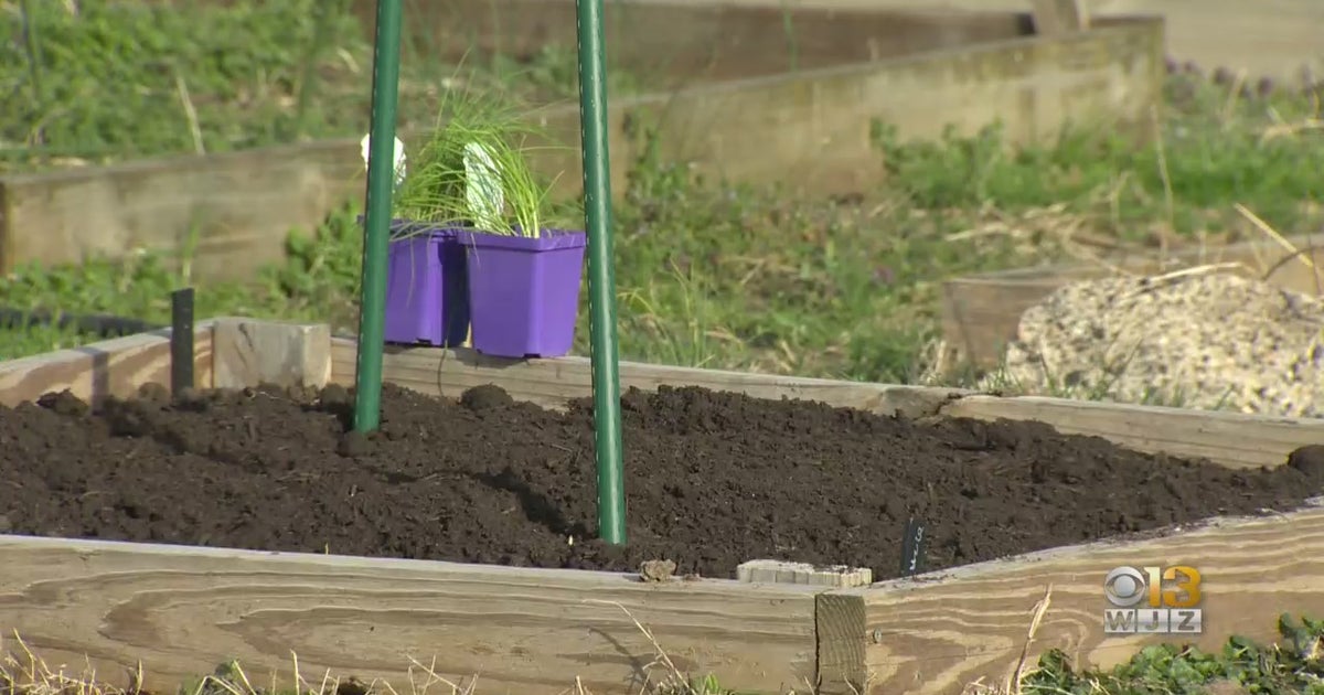 Filbert Street Garden Composts Food Waste Into 'Black Gold' To Grow