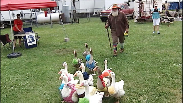 np-0808-gooseman-813233-262584-640x360.jpg 
