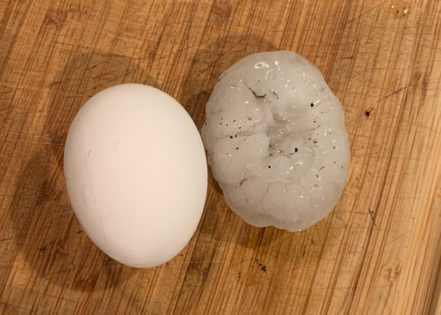 Hail next to an egg in North Fort Worth 