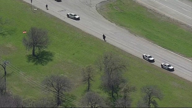 Woman attacked by pit bulls in Dallas location 