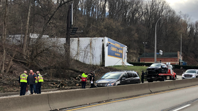 banksville-traffic-tree 