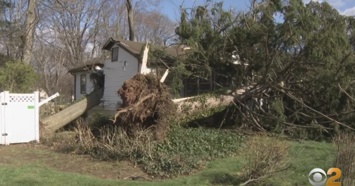 Powerful Winds Topple Tree Onto New Jersey Home, Another Crushes Car In