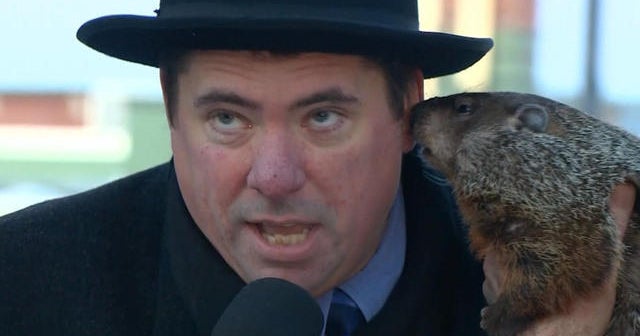 Groundhog takes a nibble of Wisconsin mayor - CBS News
