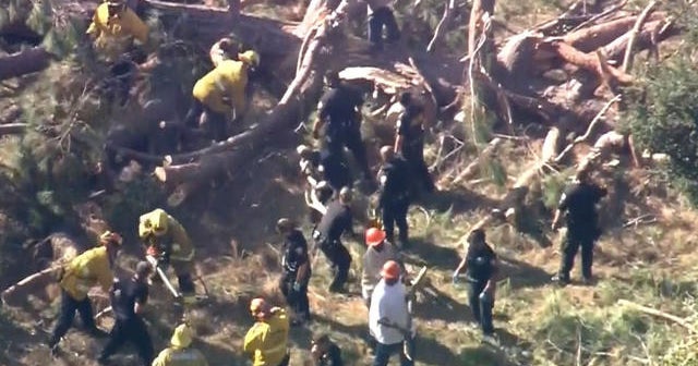 California children hurt after being trapped by fallen tree - CBS News