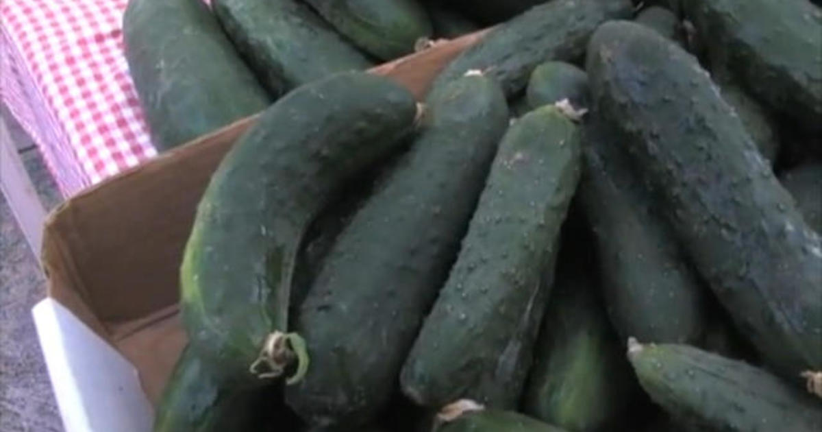 Salmonella Outbreak In Cucumbers Spreads - CBS News