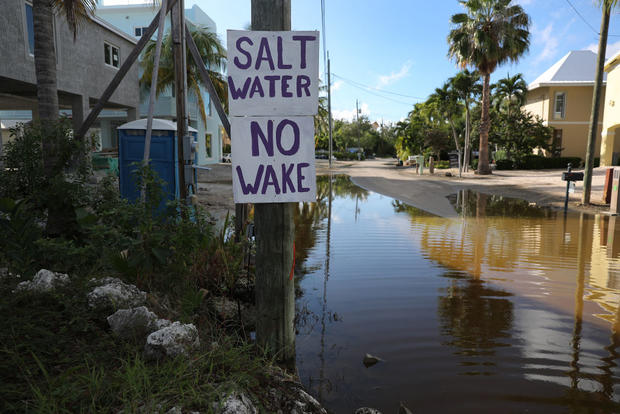King Tides, Atlantic Storms, And Warm Waters Cause Persistent Flooding In Key Largo, Florida 