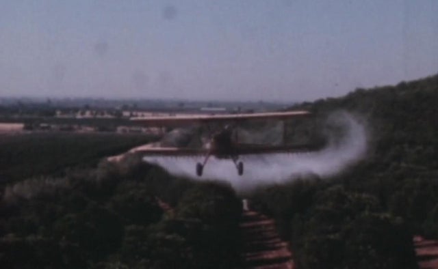 ddt-plane-2.jpg 