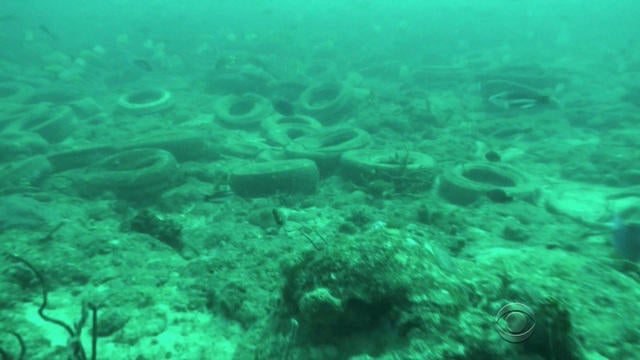 en-1216-petersenreef-476604-640x360.jpg 