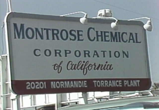montrose-sign.jpg 