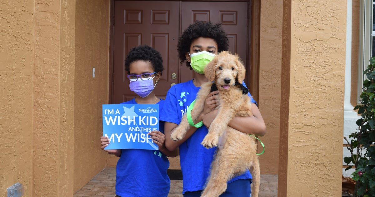 Homestead Girl With Brain Cancer Gets Furever Companion Thanks To Make ...