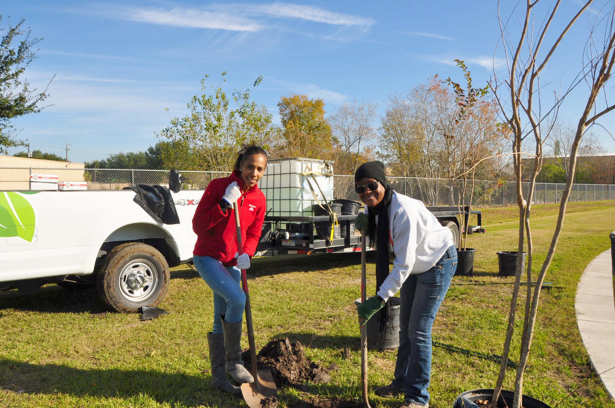 State Farm, Arbor Day Foundation Announce TreePlanting Collaboration