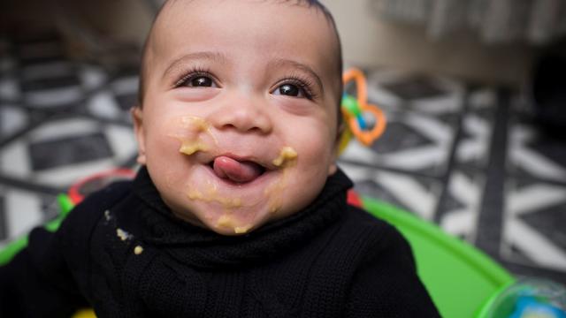 baby-food.jpg 