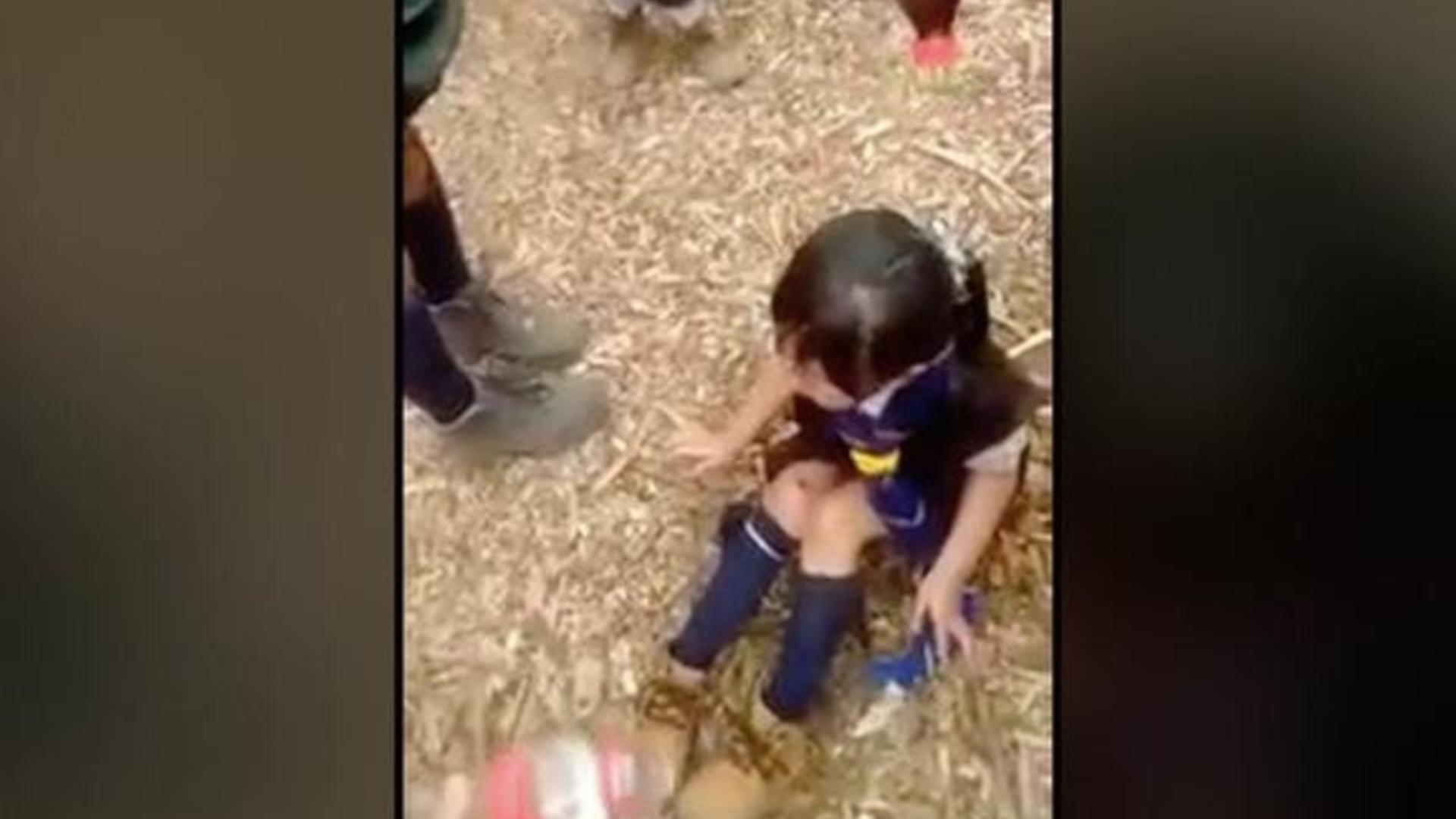 Todo en Uno: Se captura video de bullying contra niña