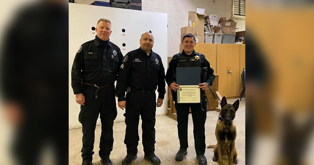 Two New K9 Teams Graduate From Pittsburgh Police K9 School CBS Pittsburgh
