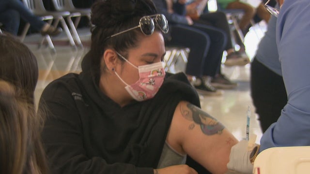 DPS VAX SATURDAY PKG.transfer_frame_1674 