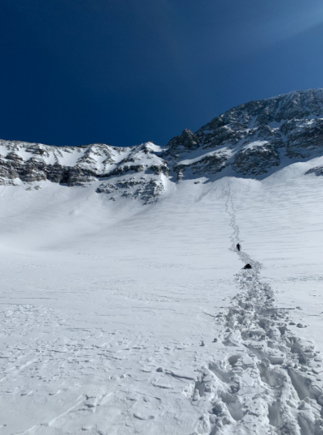 Wilson Peak Skier Hurt 1 (San Miguel Sheriff tweet) 