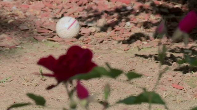 golf-ball.jpg 