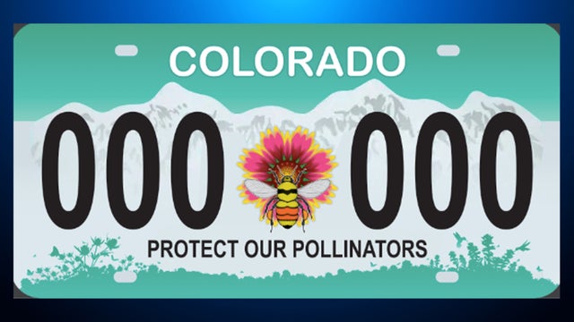 pollinator-licence-plate.jpg 