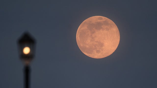 pink-moon.jpg 