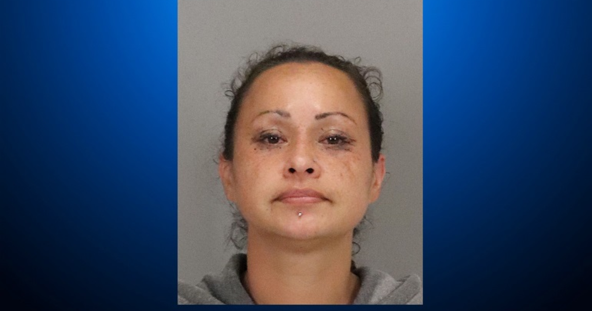 Suspected Carjacker Arrested In Fatal Hit-And-Run Crash In San Jose ...