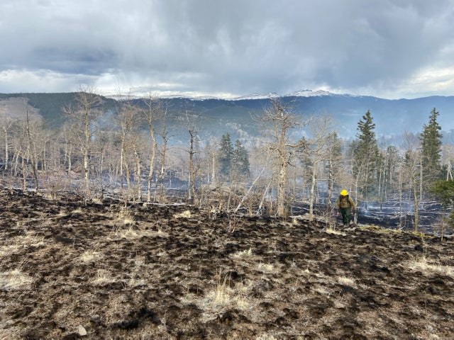 Park County Fire 1 (USFS)