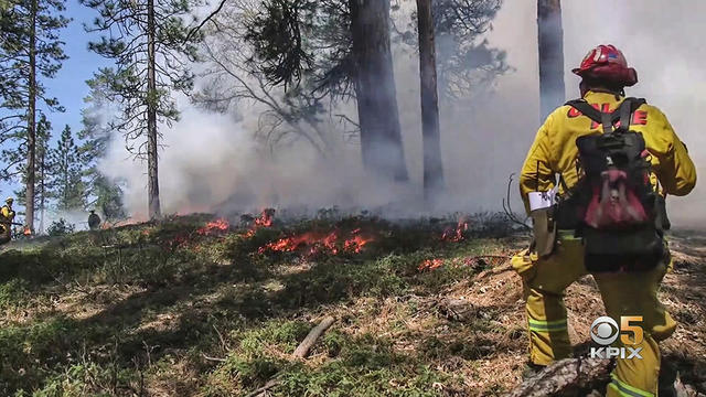 wildland-firefighter.jpg 