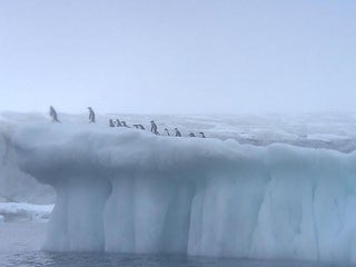 0713-ctm-antarticaiceberg-glor