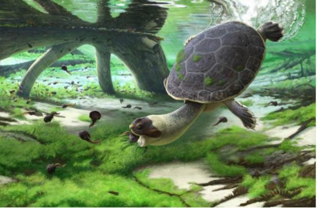 Prehistoric Turtle Render 