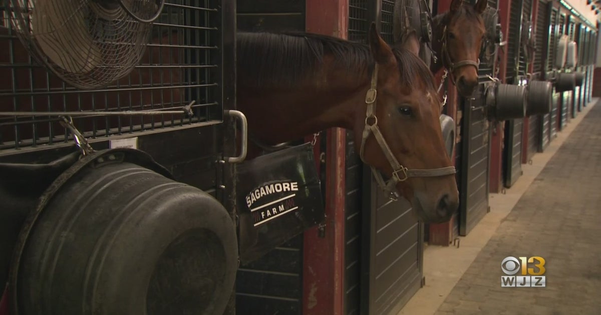 Maryland's First Horse Library Is Coming To Reisterstown CBS Baltimore
