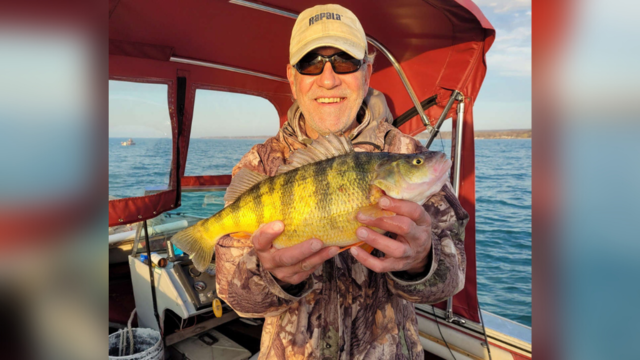 Record-Breaking Yellow Perch Caught In Lake Erie - CBS Pittsburgh