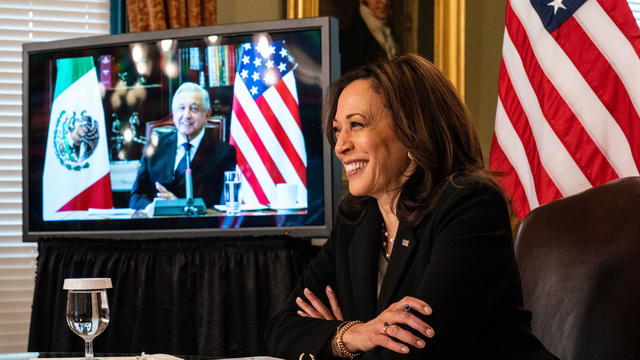 Vice President Kamala Harris Meets Virtually with Mexican President Andrés Manuel López 