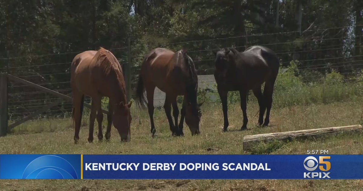 Bay Area Horse Trainer Speaks Out After Bob Baffert's Kentucky Derby