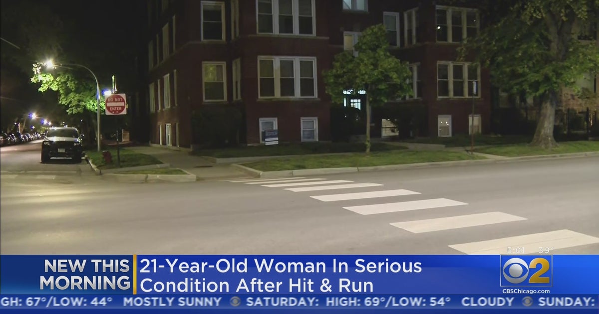 Woman Seriously Injured In HitAndRun In Lakeview, Half A Mile West Of
